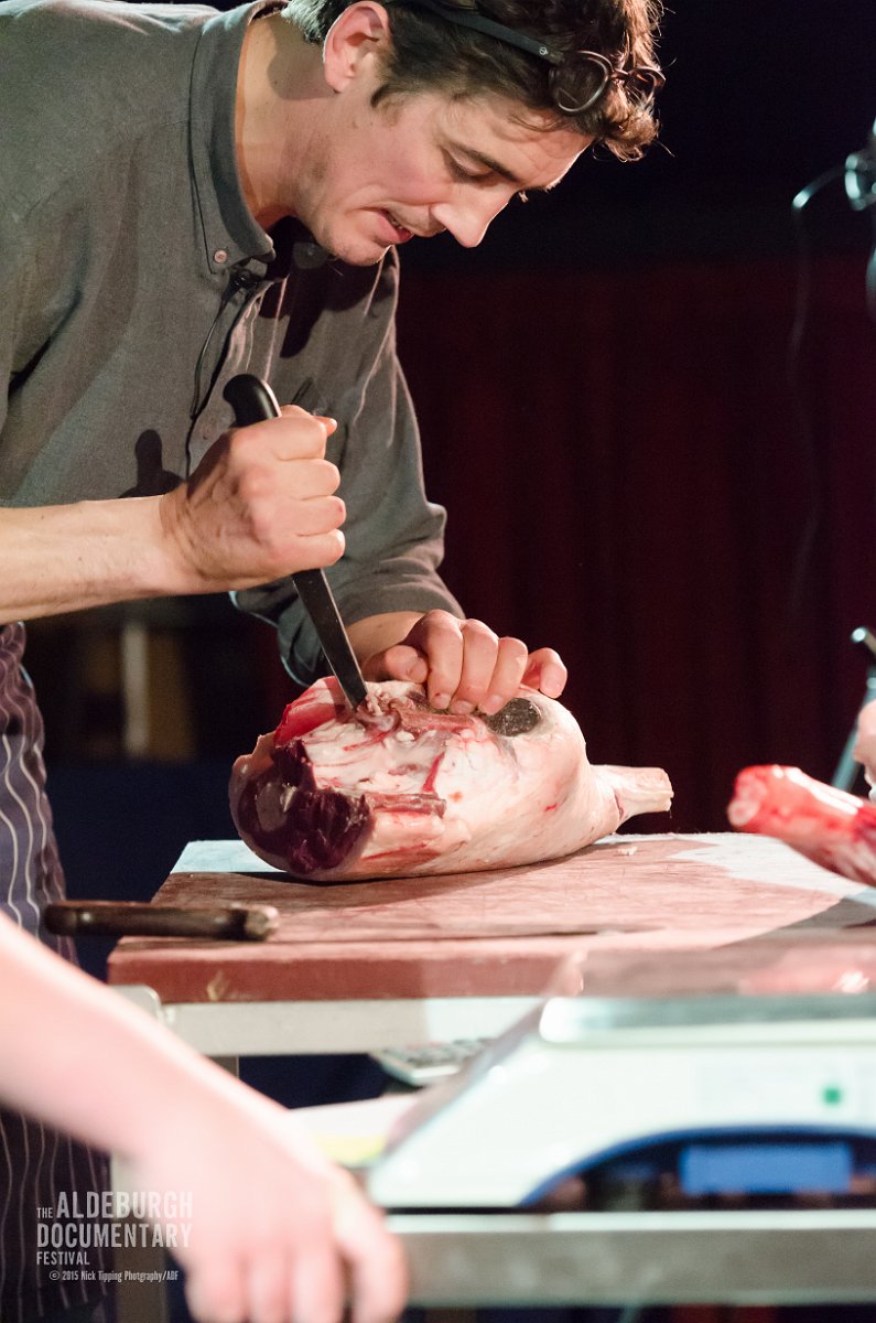 Alde Docfest 2015 Pre Addicted to Sheep WM-26
