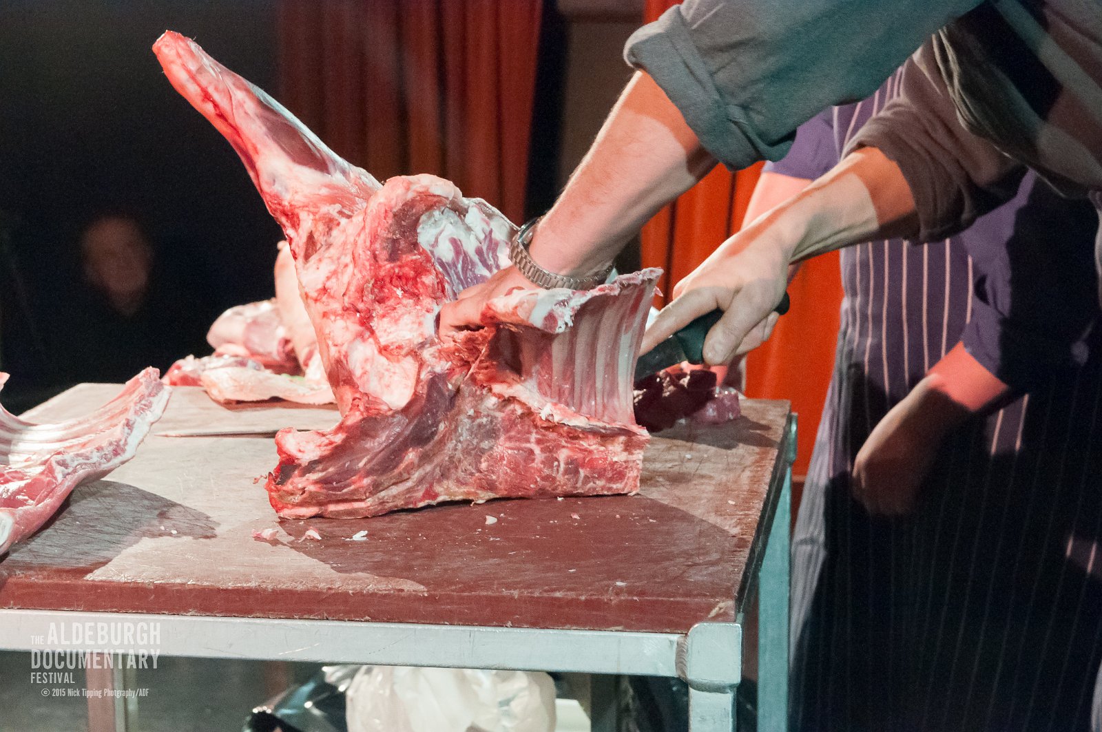 Alde Docfest 2015 Pre Addicted to Sheep WM-31