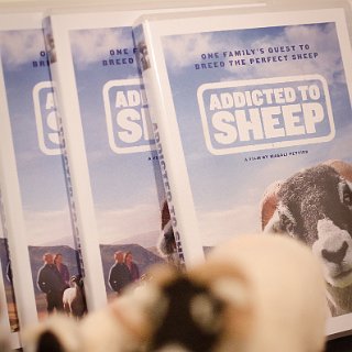 Alde Docfest 2015 Pre Addicted to Sheep WM-4