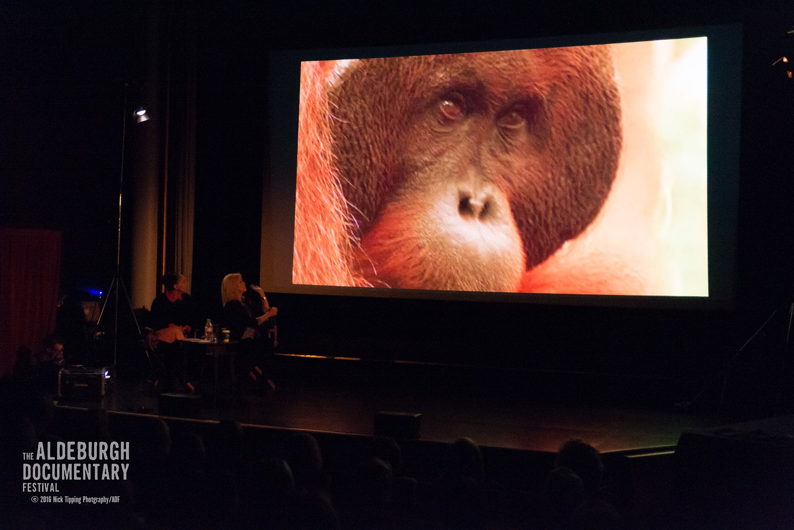 ADF 2016 Saturday Morning Joanna Lumley WM-29